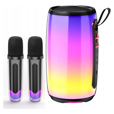 Karaoke Mikrofon Bluetooth Audio Přehrávač Přenosný Reproduktor 8W