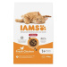 IAMS Cat Adult Indoor Chicken 10 kg