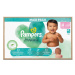 Pampers Harmonie Maxi Pack vel. 4 9–14 kg dětské pleny 74 ks