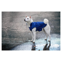 Vsepropejska Dasty bunda pro psa s reflexními prvky Barva: Modrá, Délka zad (cm): 40, Obvod hrud