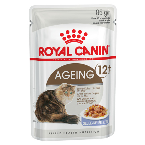 Royal Canin Ageing 12+ v želé - 96 x 85 g