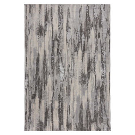 Šedý koberec 80x150 cm Gleam – Flair Rugs