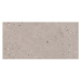 Dlažba Pastorelli Biophilic grey 30x60 cm mat P009500