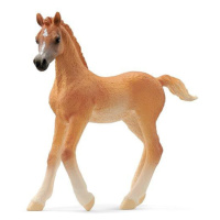 Schleich Arabské hříbě