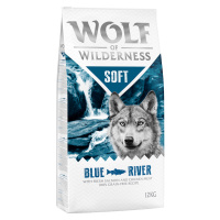 Wolf of Wilderness granule, 12 kg za skvělou cenu - Adult 