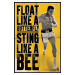 Plakát, Obraz - Muhammad Ali - vznášet se jako motýl, (61 x 91.5 cm)