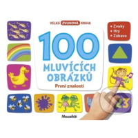 100 mluvících obrázků - První znalosti - kniha z kategorie Naučné knihy