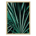 Dekoria Plakát Dark Palm Tree, 40 x 50 cm, Volba rámku: Zlatý