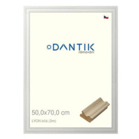 DANTIK rámeček 50 × 70, LYON Bílý plexi čiré