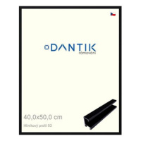 DANTIK rámeček 40 × 50, ALU profil 7003 Černý Florentinský sklo čiré