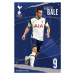 Plakát, Obraz - Tottenham Hotspur FC - Bale, 61 × 91.5 cm