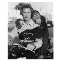 Fotografie Clint Eastwood And Clyde., Every Which Way, 30 × 40 cm