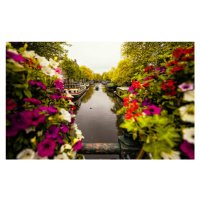 Fotografie Floral in Amsterdam, Merthan Kortan, 40 × 26.7 cm