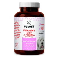 Vetamix vitamíny - srst a pokožka pro velké psy 230 g