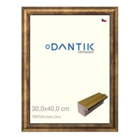 DANTIK rámeček 30 × 40, TRITON zlatý plexi čiré