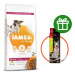 IAMS Dog Senior Small & Medium Chicken 12 kg