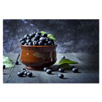 Fotografie Blueberry, FAWZY HASSAN, 40 × 26.7 cm