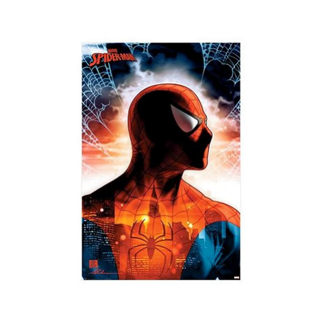 Marvel Spiderman Protector