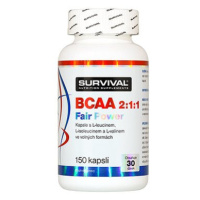 Survival BCAA 2:1:1 Fair Power 150 cps