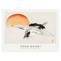 Obrazová reprodukce Crane in Flight (Special Edition Japandi) - Kōno Bairei, 40 × 30 cm