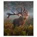 Fotografie Bellowing Stag, Alan Crossland, 34.3 × 40 cm