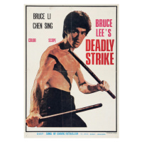 Ilustrace Bruce Lee's Deadly Strike, 30 × 40 cm