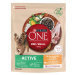 Purina One Mini/Small Dog Active kuře s rýží 800g