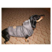 Vsepropejska Mix zimní bunda pro psa Barva: Šedá, Délka zad (cm): 20, Obvod hrudníku: 28 - 34 cm