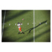 Fotografie American football player catching a pass., David Madison, 40 × 26.7 cm