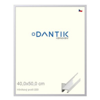 DANTIK rámeček 40 × 50, ALU profil 6220 Bílý matný sklo čiré