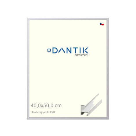 DANTIK rámeček 40 × 50, ALU profil 6220 Bílý matný sklo čiré