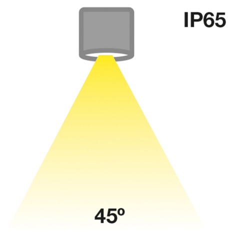 The Light Group SLC MiniOne Pevné stropní svítidlo LED IP65 černé 930