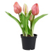 FLORISTA Tulipány "Real Touch" v květináči - sv. růžová