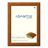 DANTIK rámeček 29,7 × 42, LEDVINKA světle hnědý plexi čiré