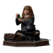 Harry Potter - Hermione Granger Polyjuice - Art Scale 1/10