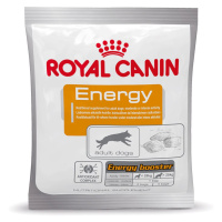 Royal Canin Energy - Výhodné balení 10 x 50 g