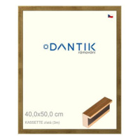 DANTIK rámeček 40 × 50, KASSETTE zlatý plexi čiré