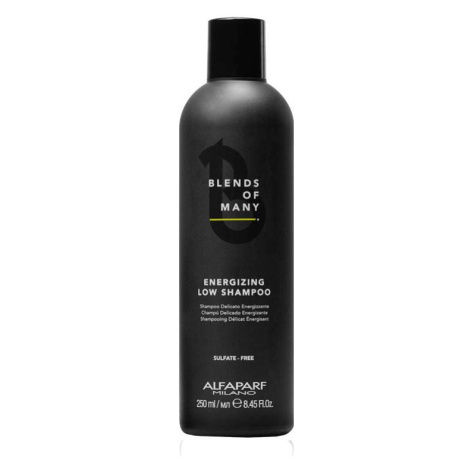Alfaparf Milano Energizing Low Shampoo jemný posilňujicí šampon proti vypadávání vlasů 250 ml