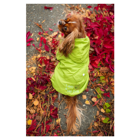 Vsepropejska Big dog zimní bunda pro psa Barva: Zelená, Délka zad (cm): 20, Obvod hrudníku: 30 -