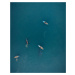 Umělecká fotografie Fishing Boats, Yoan Guerreiro, (30 x 40 cm)