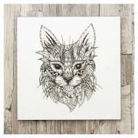 Obraz ze dřeva na stěnu - Kočka
