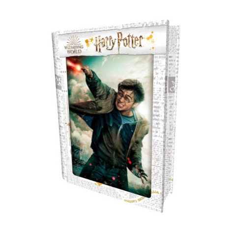 PRIME 3D PUZZLE - Harry Potter-Harry Potter 300 dílků