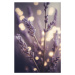 Fotografie Lavender Detail, Treechild, 26.7 × 40 cm