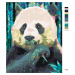Malování podle čísel - BAREVNÁ PANDA Rozměr: 40x50 cm, Rámování: vypnuté plátno na rám