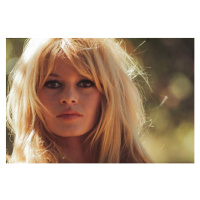 Umělecká fotografie Brigitte Bardot, 1965, Suero, Orlando, (40 x 26.7 cm)