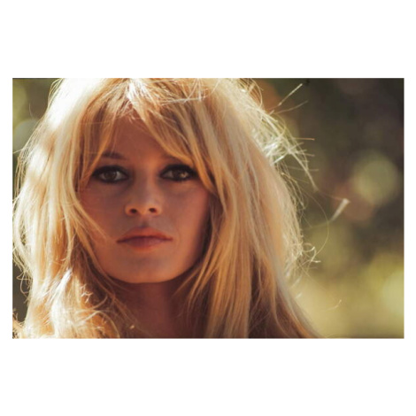 Plakát, Obraz - Brigitte Bardot, 1965, Suero, Orlando, 40 × 26.7 cm