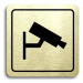 Accept Piktogram "monitorováno II" (80 × 80 mm) (zlatá tabulka - černý tisk)