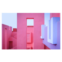 Fotografie Rubine red, pink, sky blue and purple., Fran Ortega, 40 × 26.7 cm