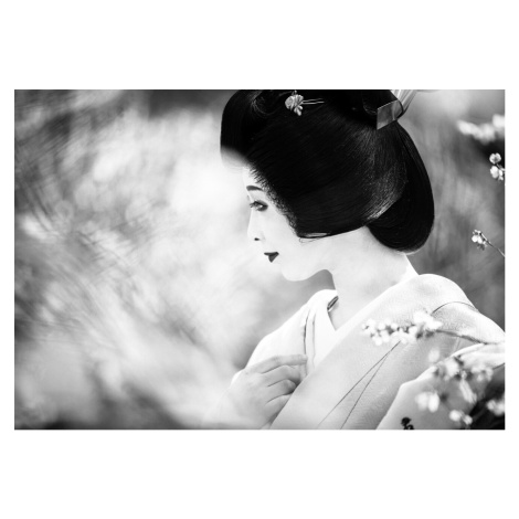 Umělecká fotografie Daydream, TORU MATSUNAGA, (40 x 26.7 cm)