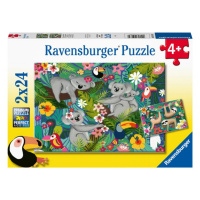 RAVENSBURGER Koaly a lenochodi 2x24 dílků